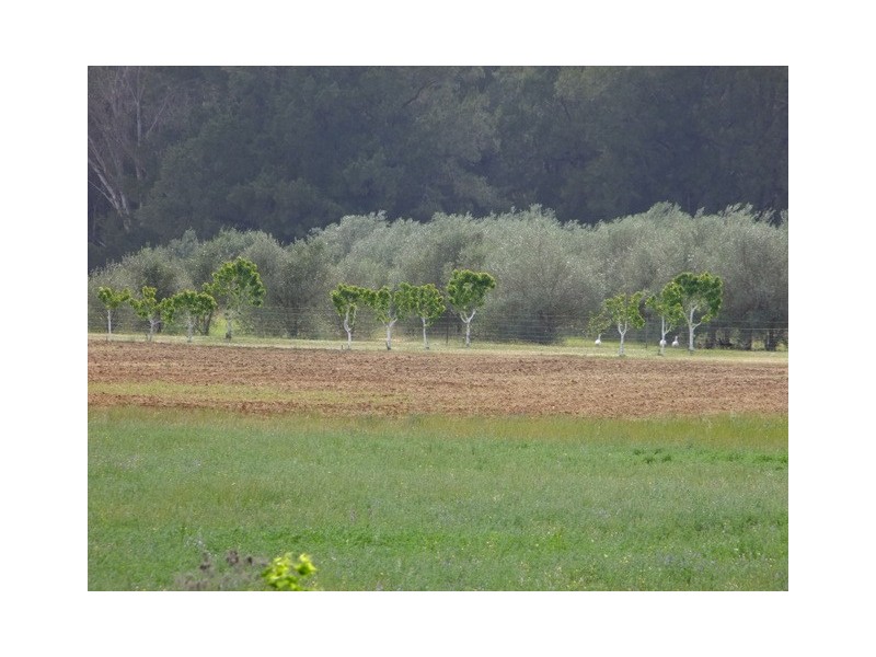 Coonabarabran NSW 2357