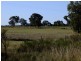 Binnaway NSW 2395