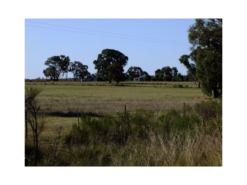 Binnaway NSW 2395