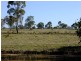 Binnaway NSW 2395