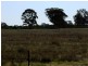 Binnaway NSW 2395