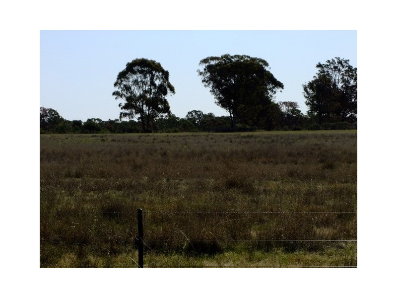 Binnaway NSW 2395
