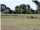 Binnaway NSW 2395