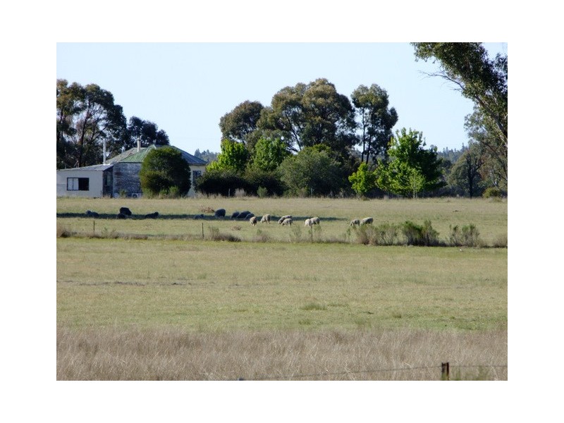 Binnaway NSW 2395
