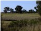 Binnaway NSW 2395