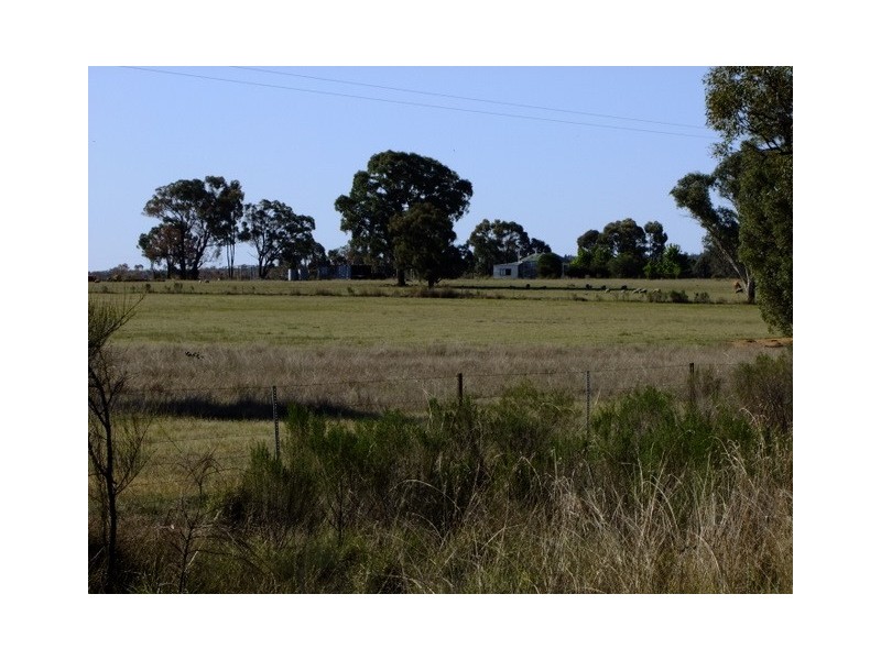 Binnaway NSW 2395