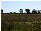 Binnaway NSW 2395