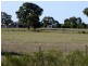 Binnaway NSW 2395
