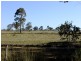 Binnaway NSW 2395