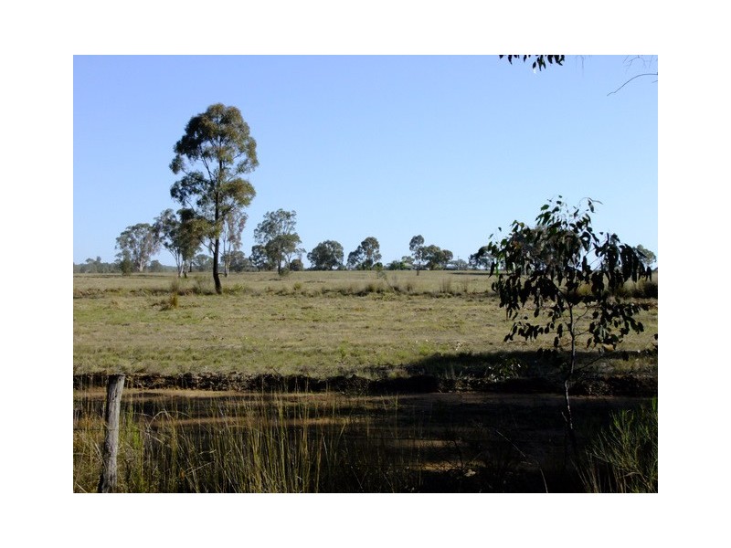 Binnaway NSW 2395