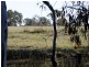 Binnaway NSW 2395