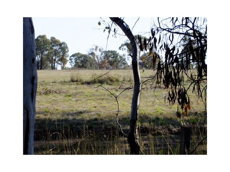 Binnaway NSW 2395