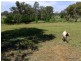THIS – L – DOO Dows Lane, Coonabarabran NSW 2357