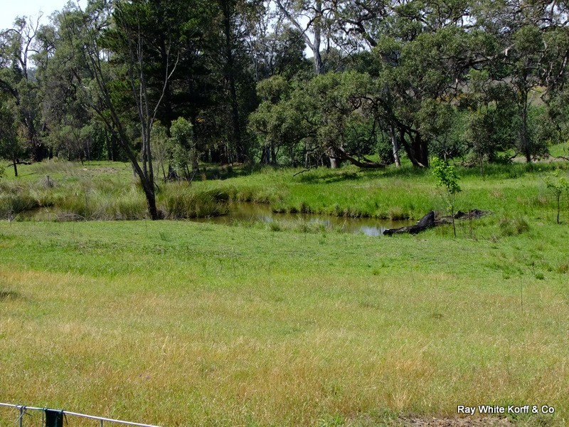 THIS – L – DOO Dows Lane, Coonabarabran NSW 2357