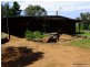 THIS – L – DOO Dows Lane, Coonabarabran NSW 2357