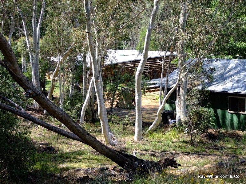 THIS – L – DOO Dows Lane, Coonabarabran NSW 2357