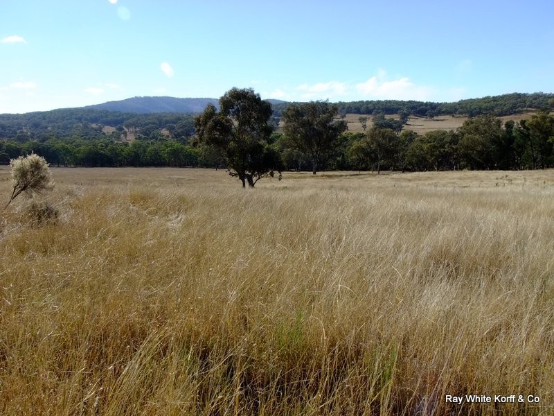 BOBELLA SPRINGS, Coonabarabran NSW 2357