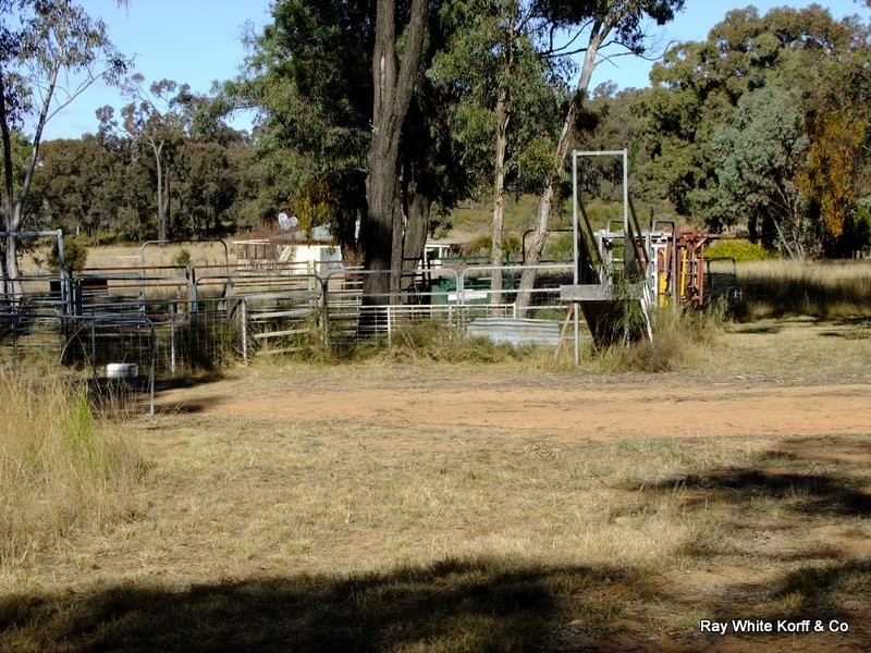 BOBELLA SPRINGS, Coonabarabran NSW 2357