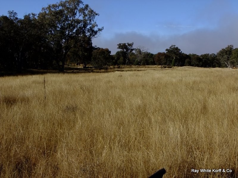 BOBELLA SPRINGS, Coonabarabran NSW 2357