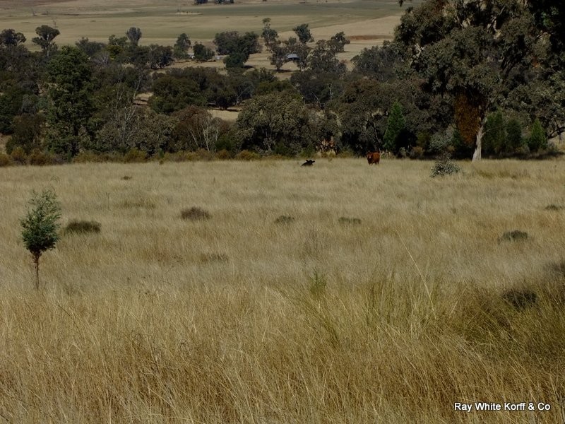 BOBELLA SPRINGS, Coonabarabran NSW 2357