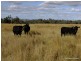 Mullaley NSW 2379