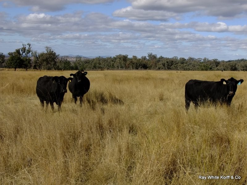 Mullaley NSW 2379
