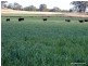 Mullaley NSW 2379