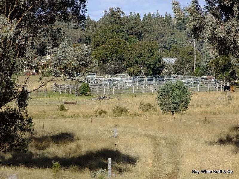 Mullaley NSW 2379