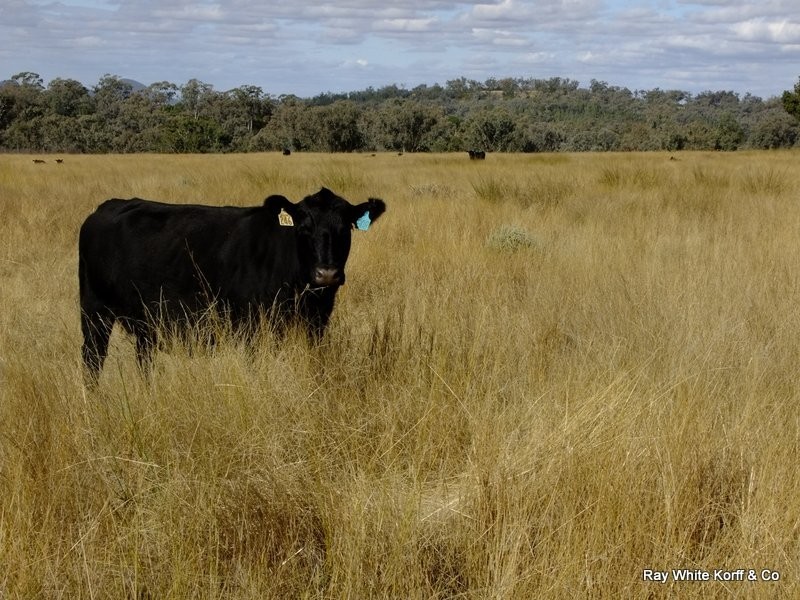 Mullaley NSW 2379