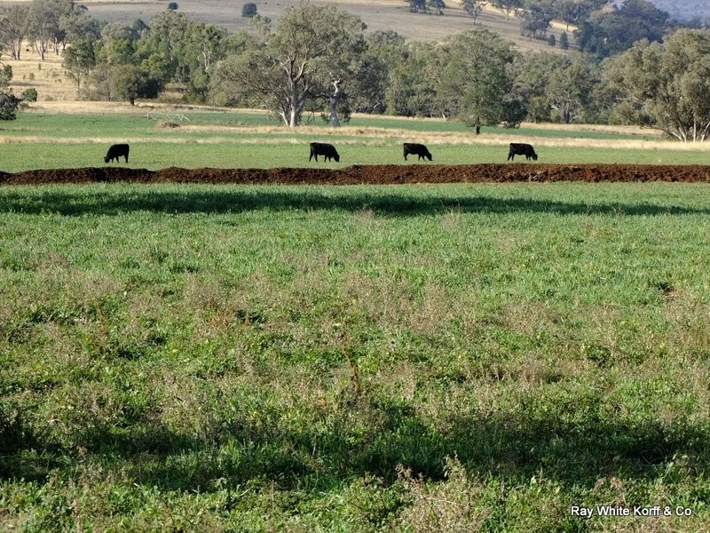 Mullaley NSW 2379