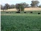Mullaley NSW 2379