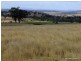 Mullaley NSW 2379