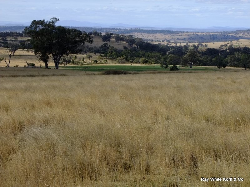 Mullaley NSW 2379