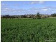 Mullaley NSW 2379