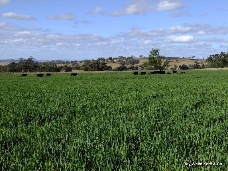 Mullaley NSW 2379