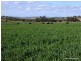 Mullaley NSW 2379