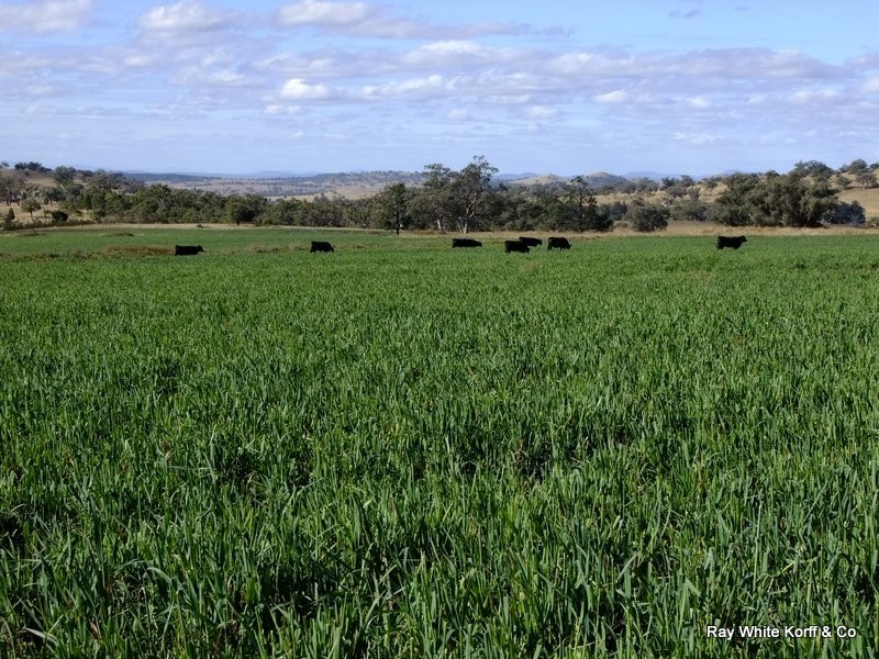 Mullaley NSW 2379