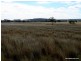 Mullaley NSW 2379