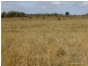 Mullaley NSW 2379