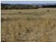 Mullaley NSW 2379