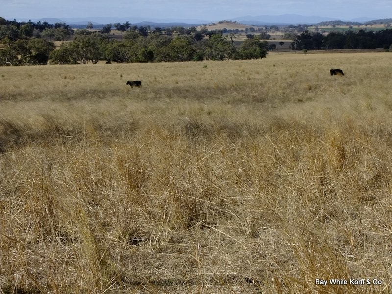 Mullaley NSW 2379