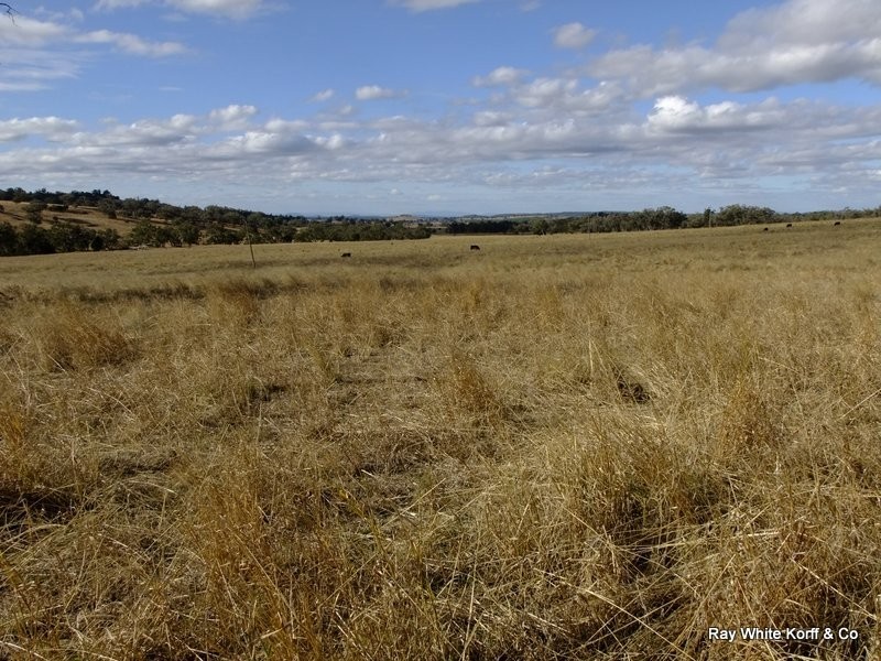 Mullaley NSW 2379