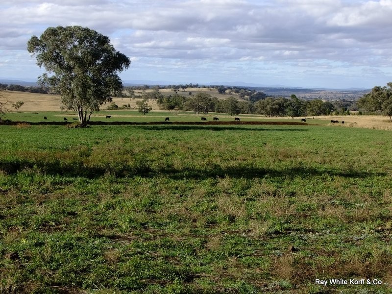 Mullaley NSW 2379