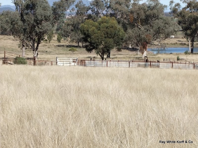 . LIMEROCK, Carroll NSW 2340