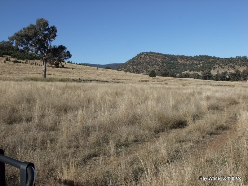 . LIMEROCK, Carroll NSW 2340