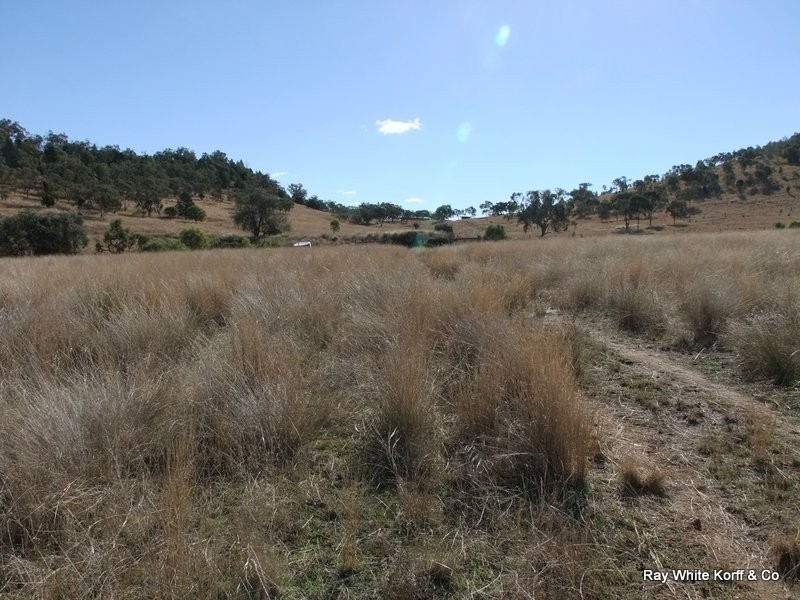 . LIMEROCK, Carroll NSW 2340