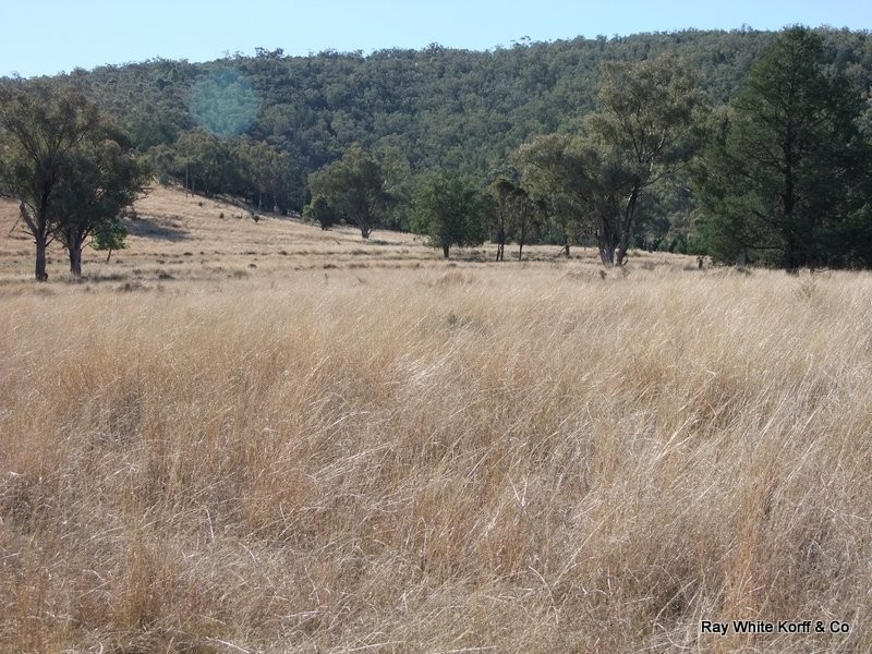 . LIMEROCK, Carroll NSW 2340