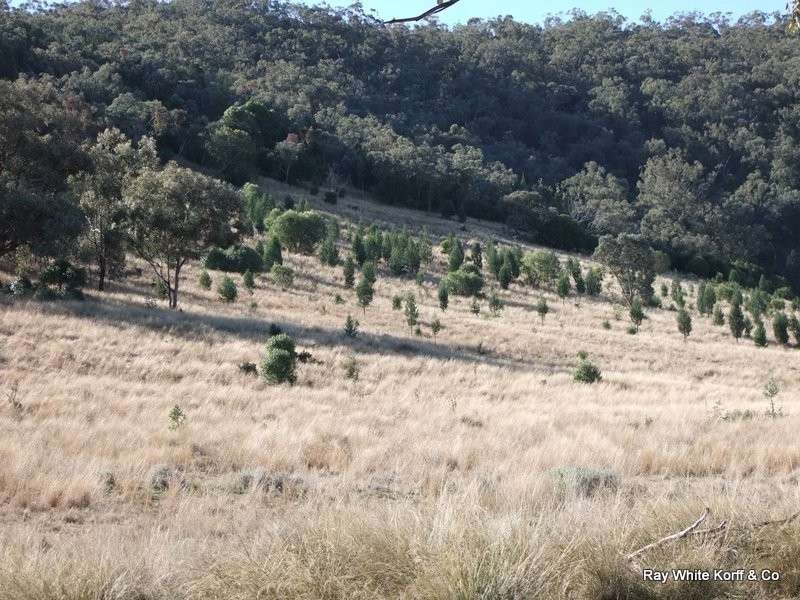 . LIMEROCK, Carroll NSW 2340