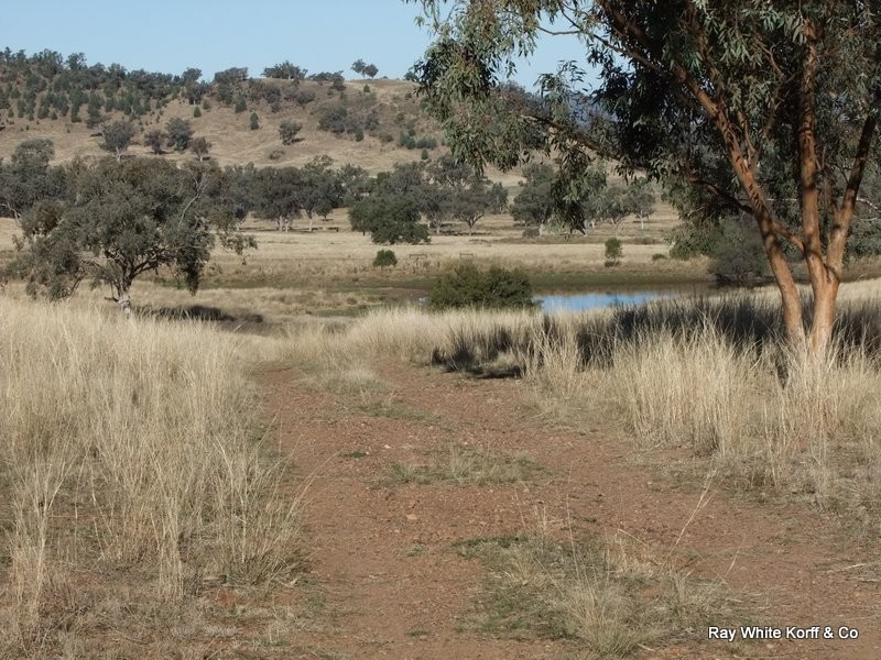 . LIMEROCK, Carroll NSW 2340