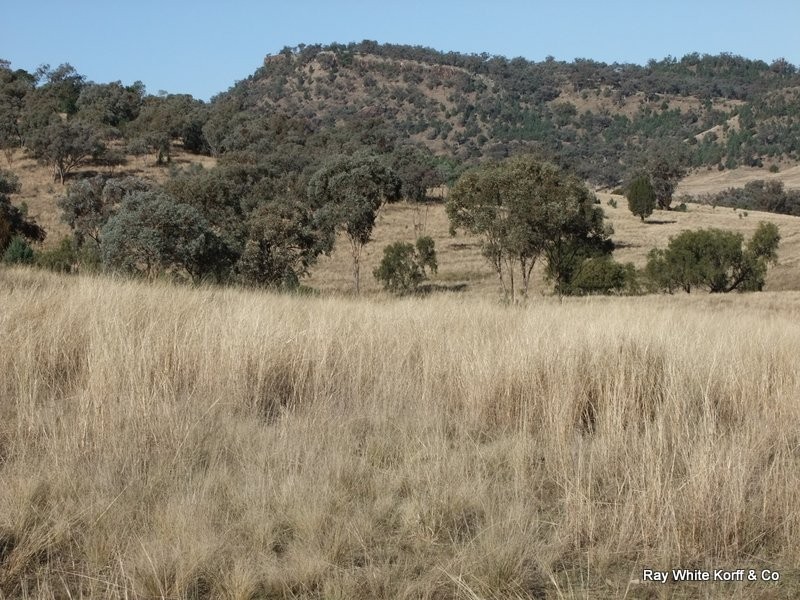 . LIMEROCK, Carroll NSW 2340